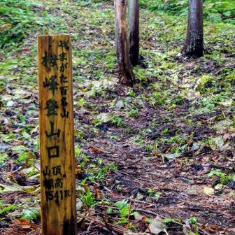 東北百名山👉️山形最後の砦💪
取りに行くぜ👯😊