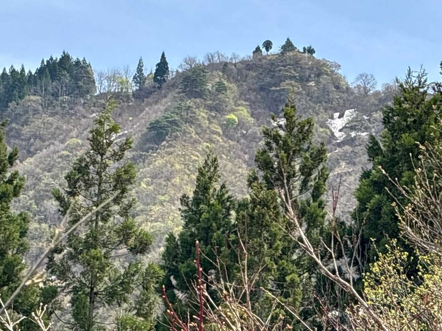坂戸山登山口-坂戸山 周回コースの写真