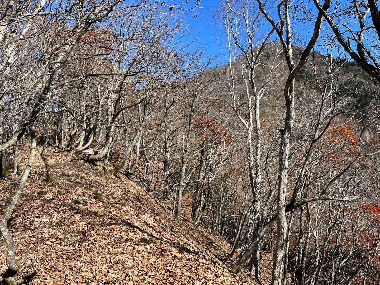 右奥は明神ヶ岳