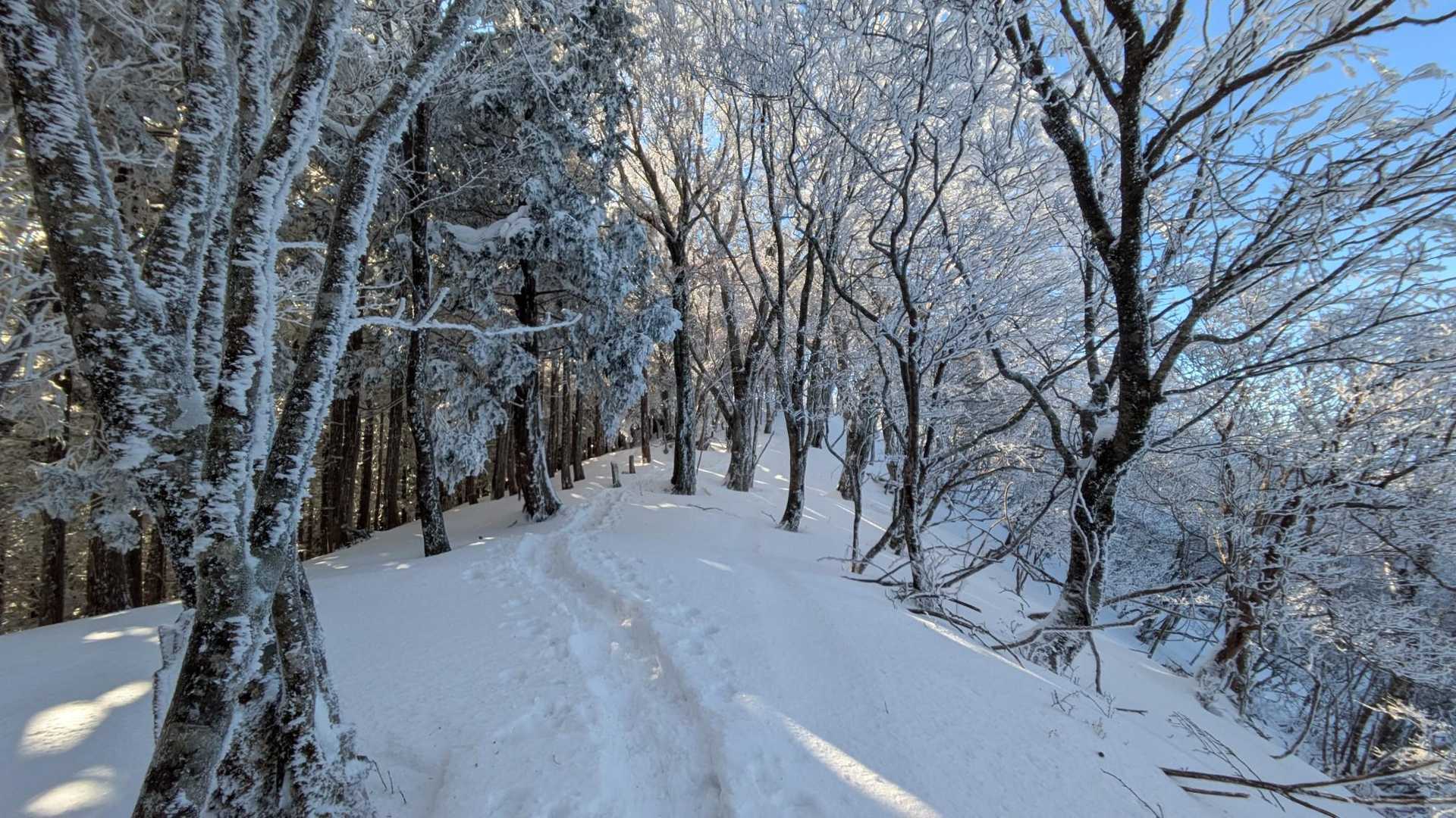 雪が増えて来ました😃