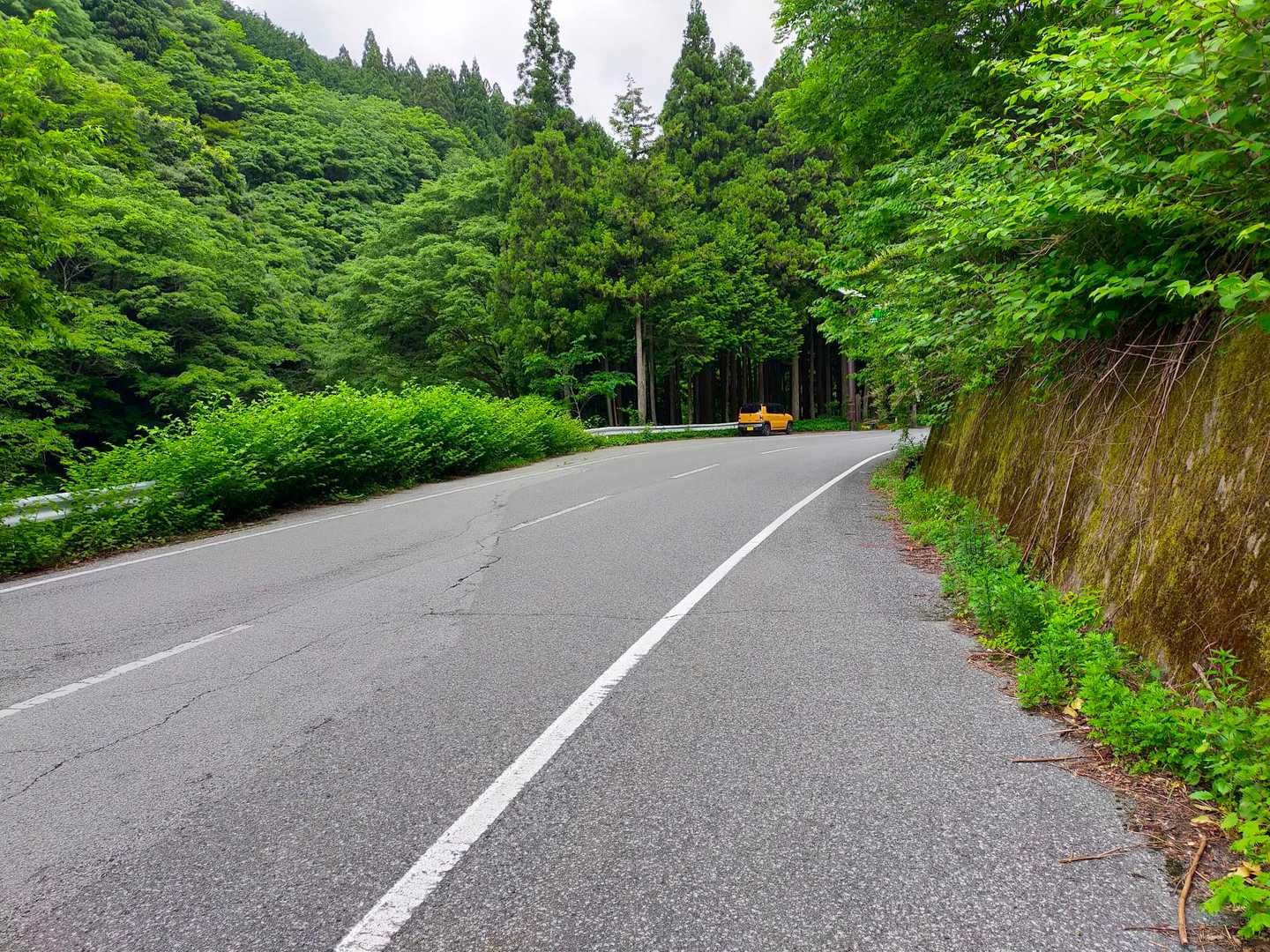ここに停めた🚗³₃
これもアウトなんかな〜🅿️