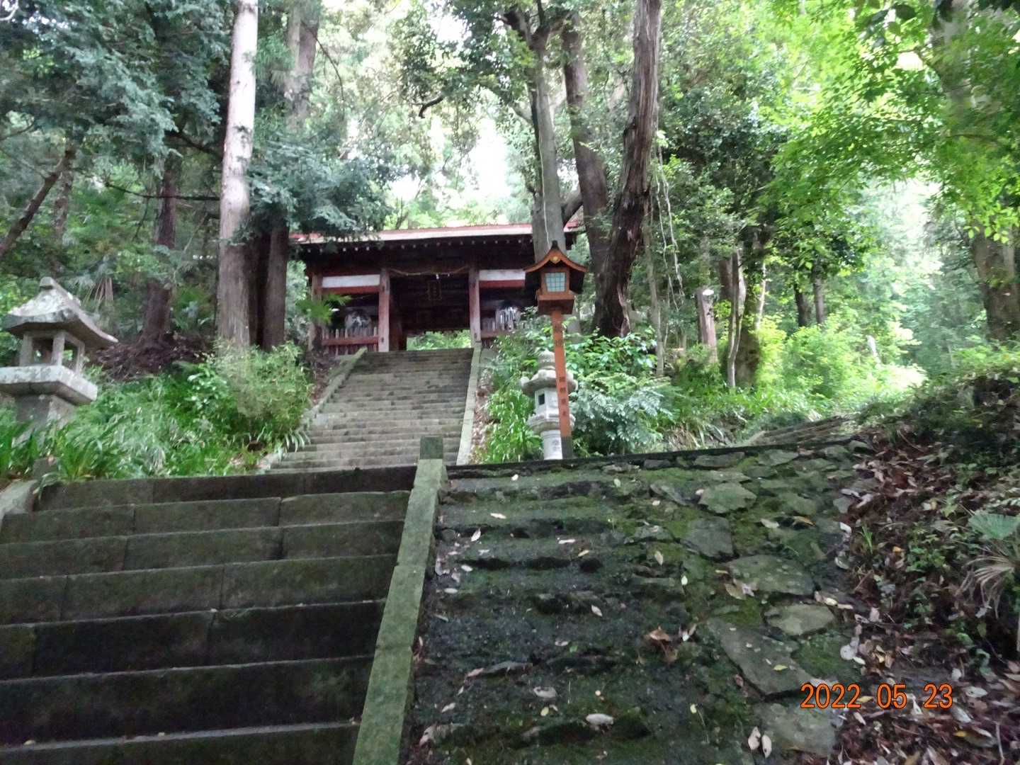 いつも下る階段ですが、今日は上がります、こんなに急だった💦
