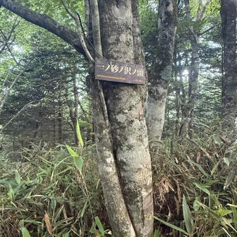 一ノ砂ノ沢ノ頭…読むのに舌噛みました👅💥