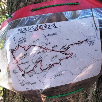 笠の丸の近くでこれがあるのに初めて気づく。ふむふむ……