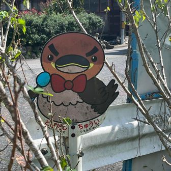 見たことない飛び出し看板