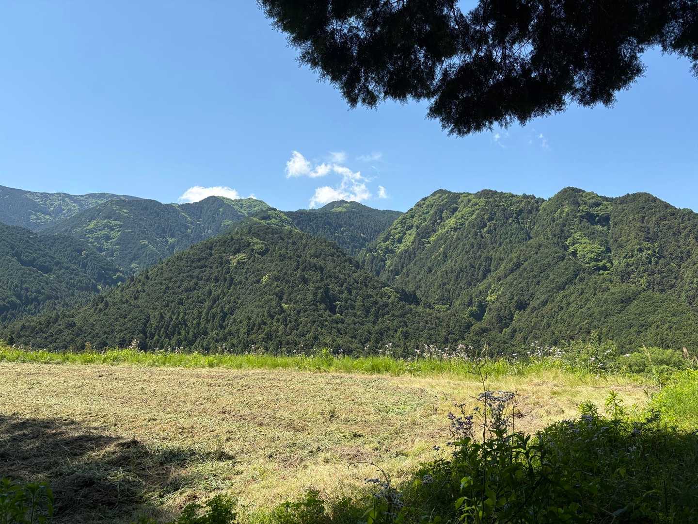 おはよー☀️
金剛山⛰️
