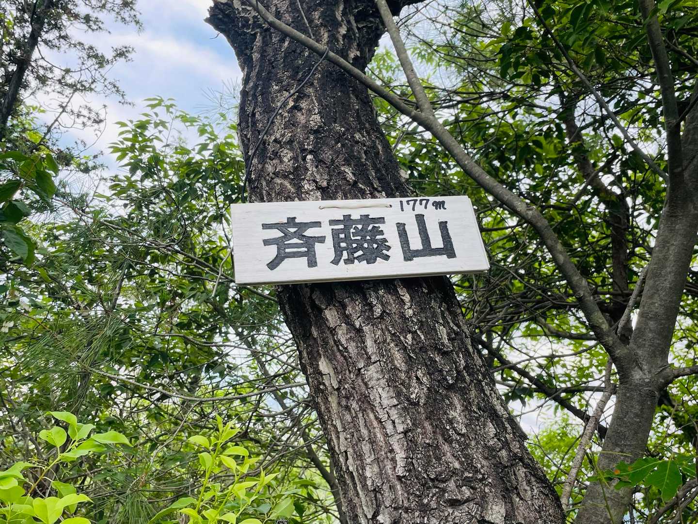 白髭神社登山口-斉藤山-桶居山 周回コースの写真