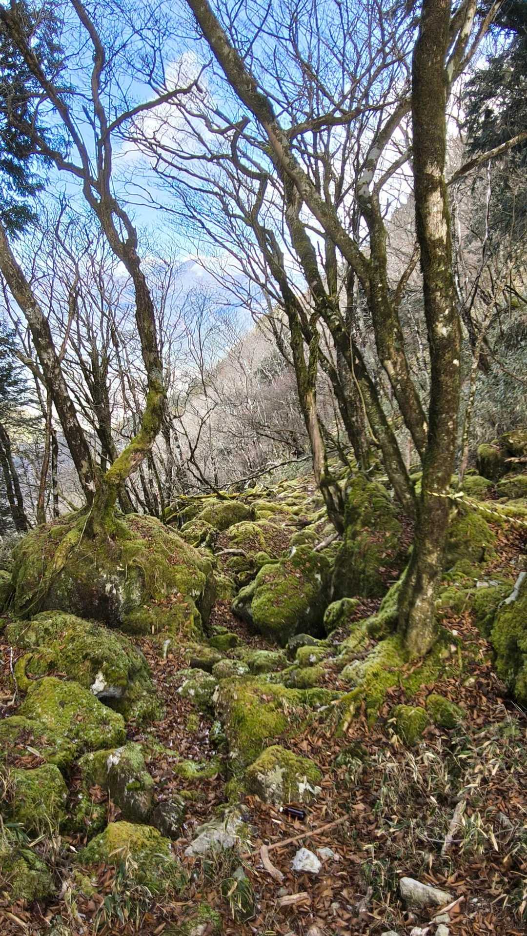 地蔵峠入口-仏谷山-細島峠-うつろぎ山 往復コースの写真