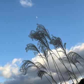 二十六夜山登山口にて