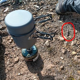 カップ麺🍜とおにぎり🍙を食べた後、お湯を沸かしてコーヒーを飲む。
丸印は何かの糞かも…💩