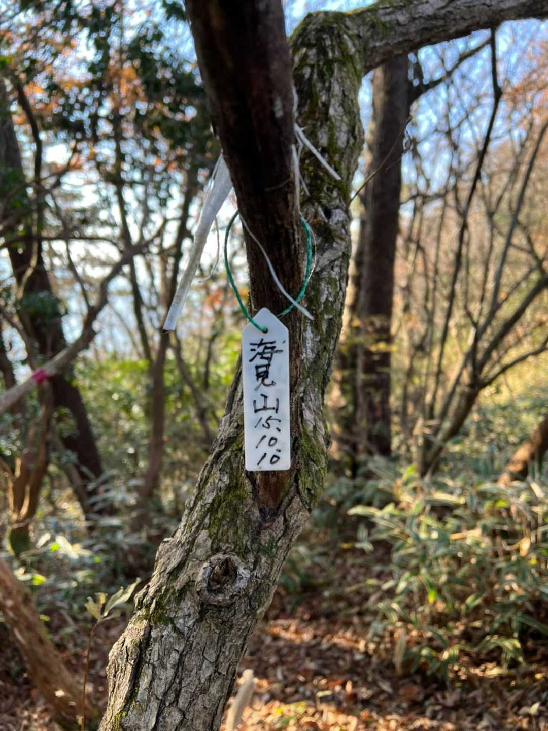 17_名前負けしない眺望ならきっと大勢の登山者が訪れるんだろうな😄