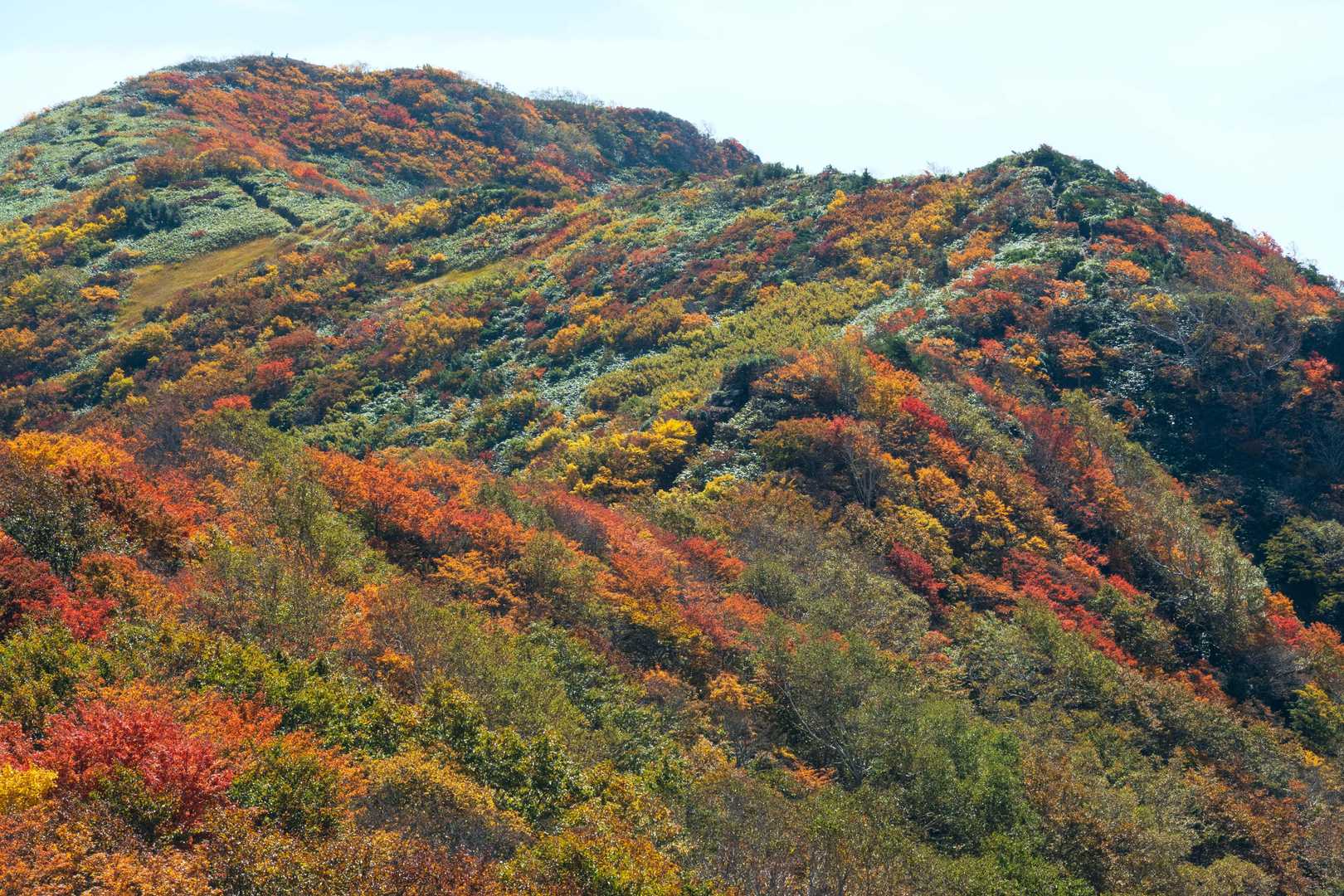 松ノ木沢ノ頭-白毛門-笠ヶ岳 往復コースの写真