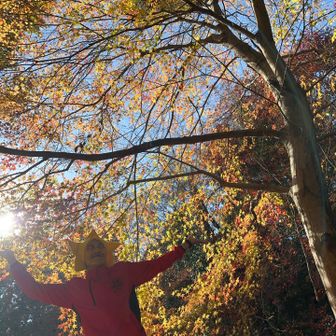 紅葉は終わらせねぇ〜よぉ〜爆笑🤣
またお山でバッタリお会いしましょう♪またね〜