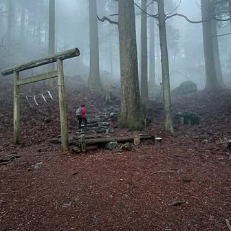 大岳神社鳥居
