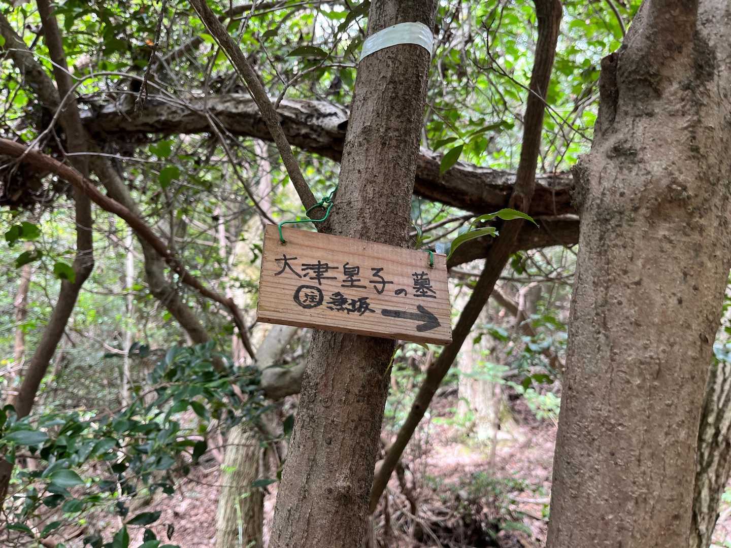 おっと……🤔

ここは右に行かずにまっすぐいこー🫢