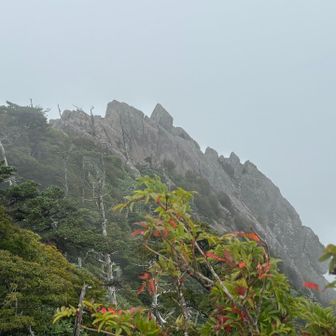 ここから先は怖いので引き返す
墓場尾根