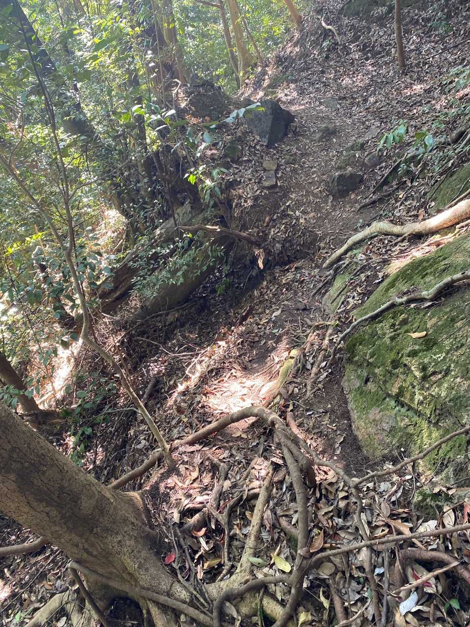 かなり道が荒れてます