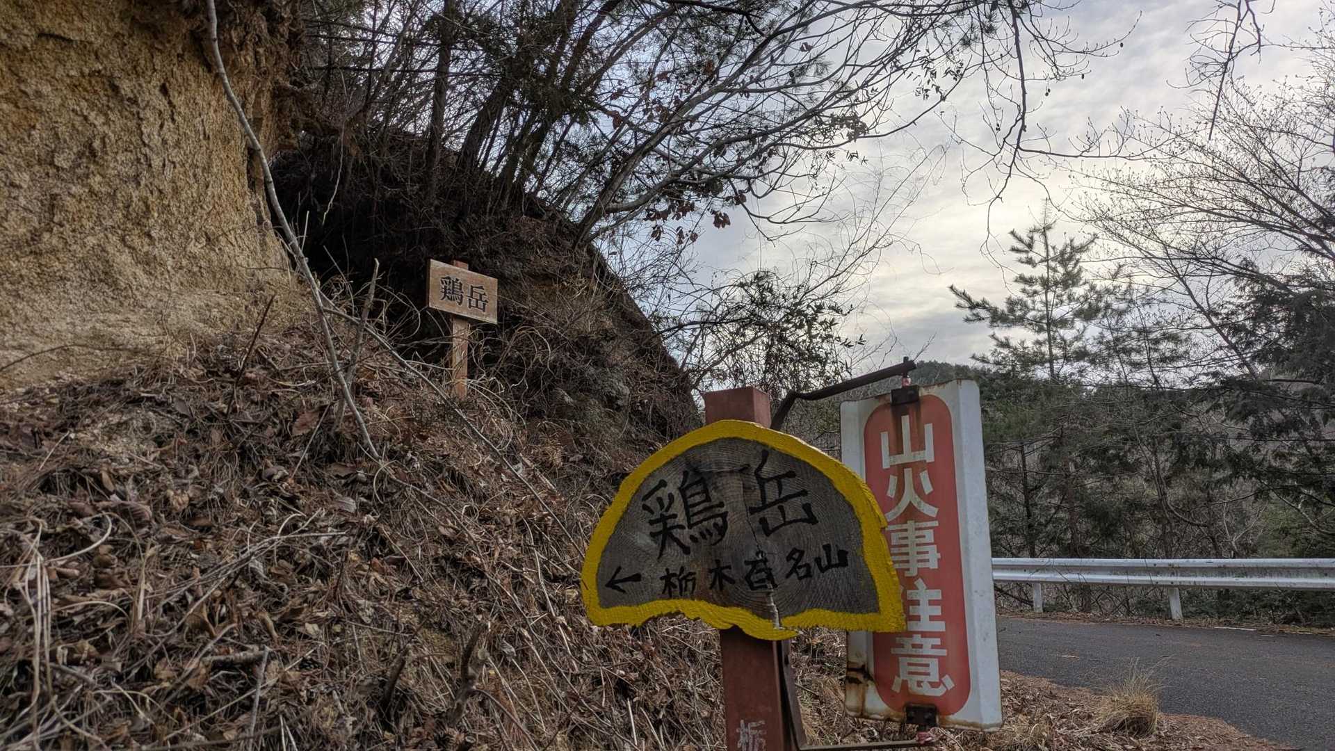 林道を登ってきたけど🅿️は林道途中の脇道だったみたい
でもはっきりした登山口があったのでここから行く