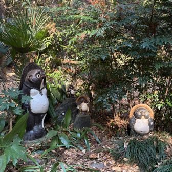 今日は景信まで行くのでたぬき通ります