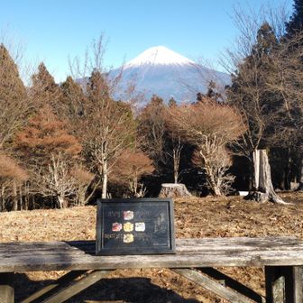 富嶽三十六景完登プレートと、富士山🗻✨
こうなったら、一緒に納める旅に出るかな
