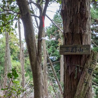 三郡山トーチャクぅ〜　結構荒れてて進路がわかりづらかった💦