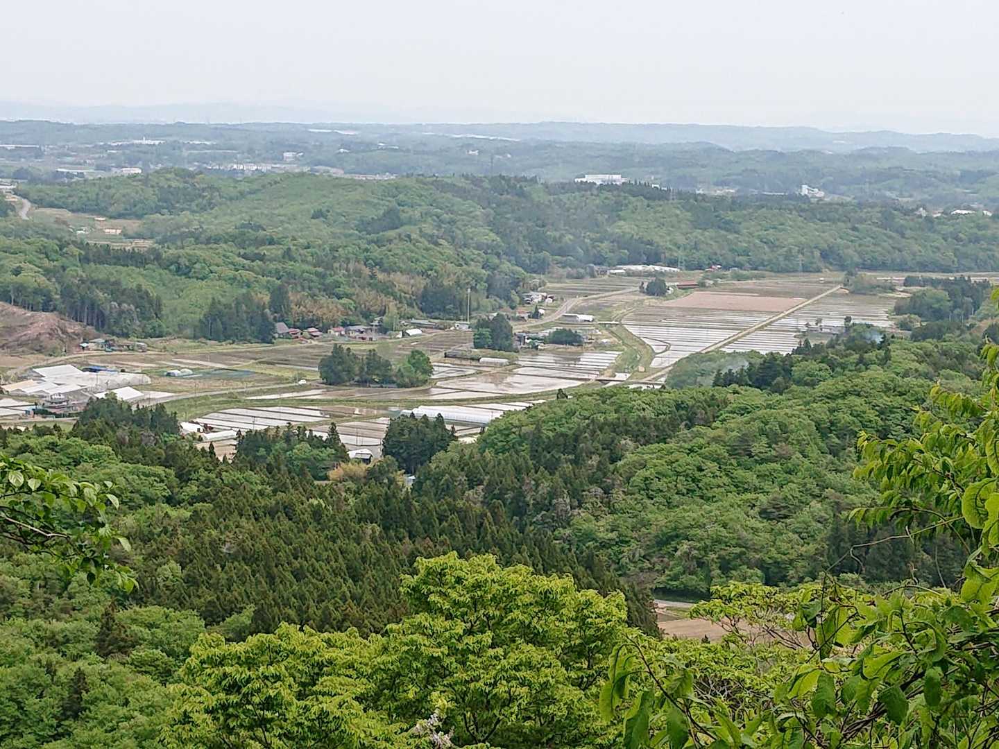 田植えが始まってます