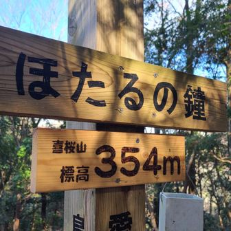 三度目の喜桜山。
集会所へ下る区間は踏破済。