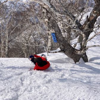 本当の撮り方🪧見本です😀

下から撮るそうです📸
