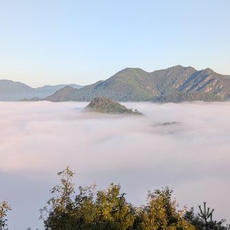 これから向かう千丈寺山の山頂がちょこんと出ています。小さな小島のようです。奥は五大山