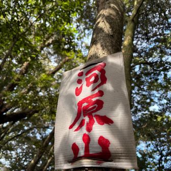 河原山🏳️‍🌈454m
ここから長~いﾙｰﾄᕦ(ò_óˇ)ᕤ