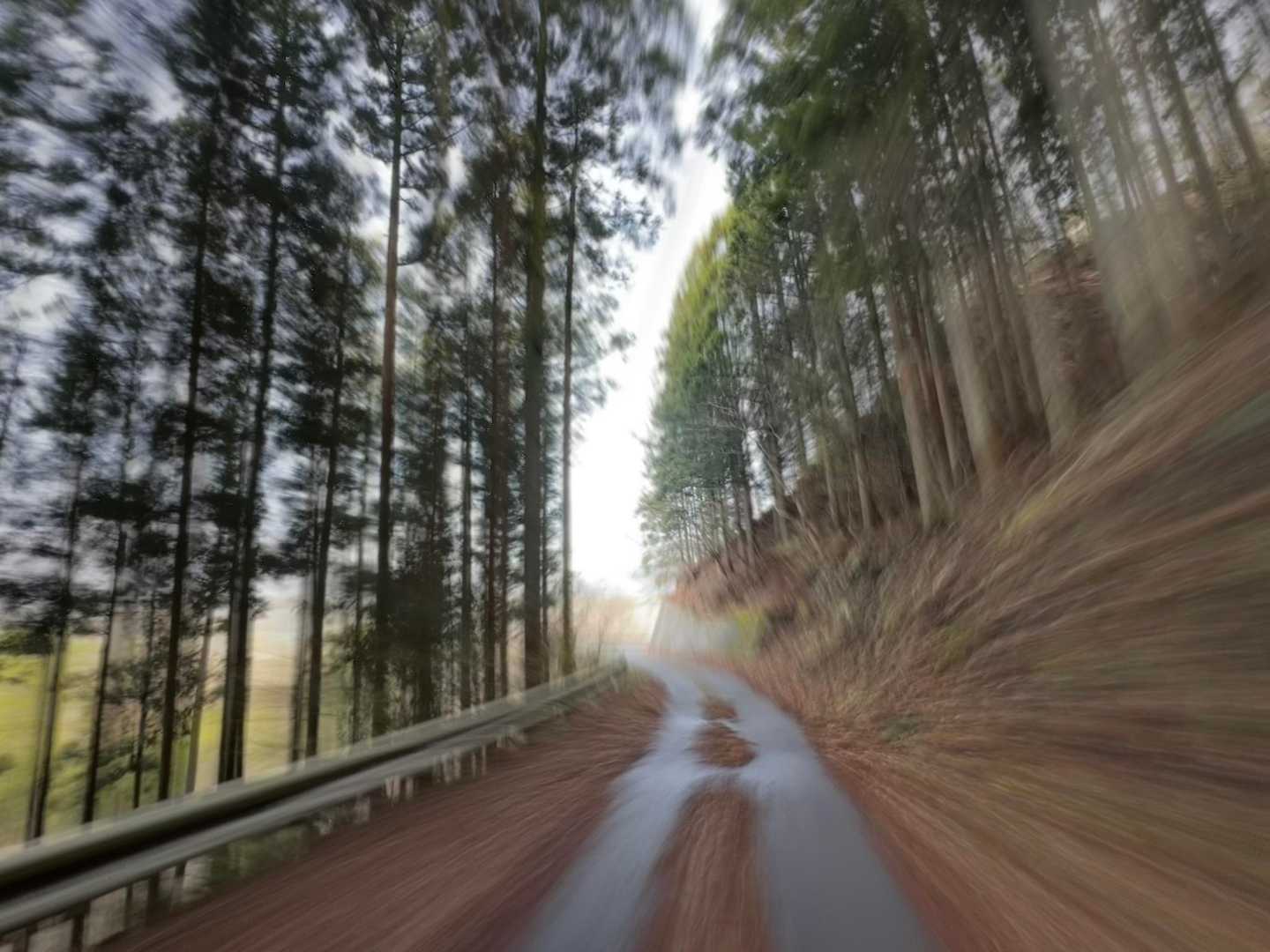 ｽﾀﾀﾀﾀｯ🏃🏻💨