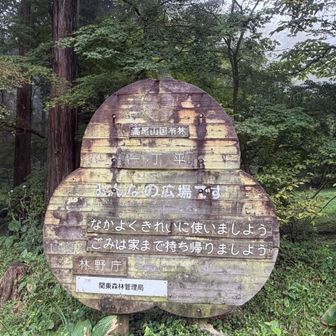 休憩後下山開始。一丁平まで戻ってきた🤭