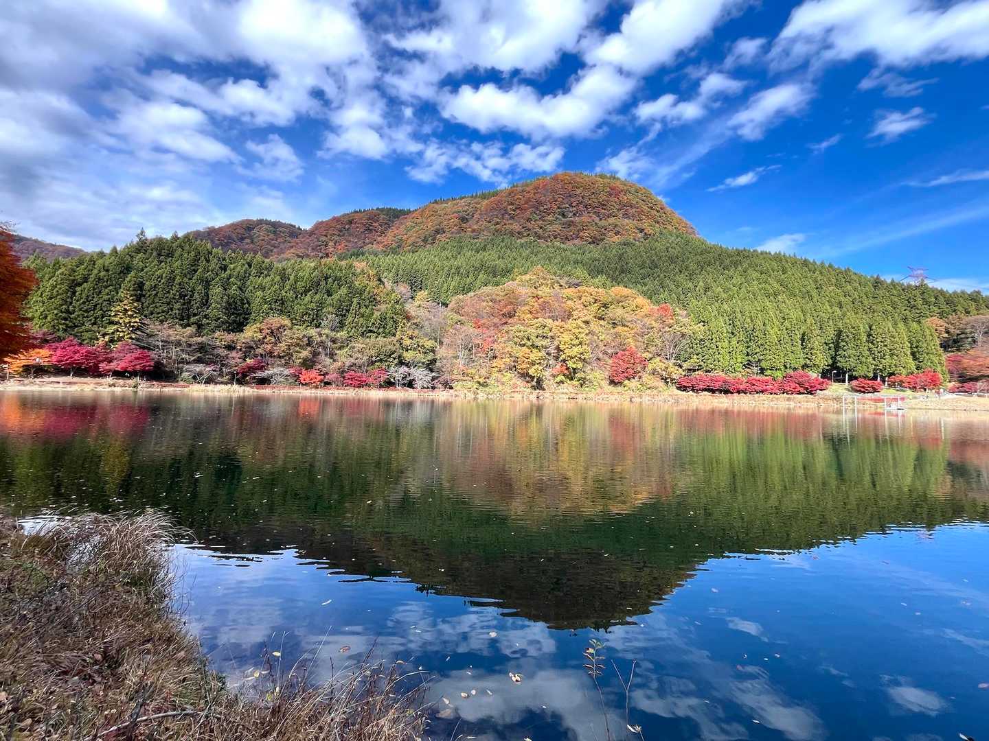 碓氷湖の対岸まで来ると
上部が紅葉している刎石山のリフレクションが見れました
なんて素敵なの〜
立ち寄って良かった♡