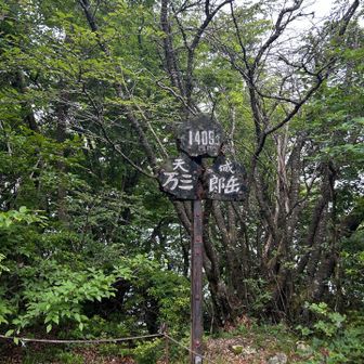 この辺り、羽虫がすごかった