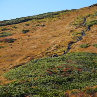 いわかがみから栗駒山山頂への道もなかなかの斜度で観光の人は苦労しそう