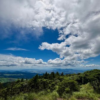 夏っぽい空