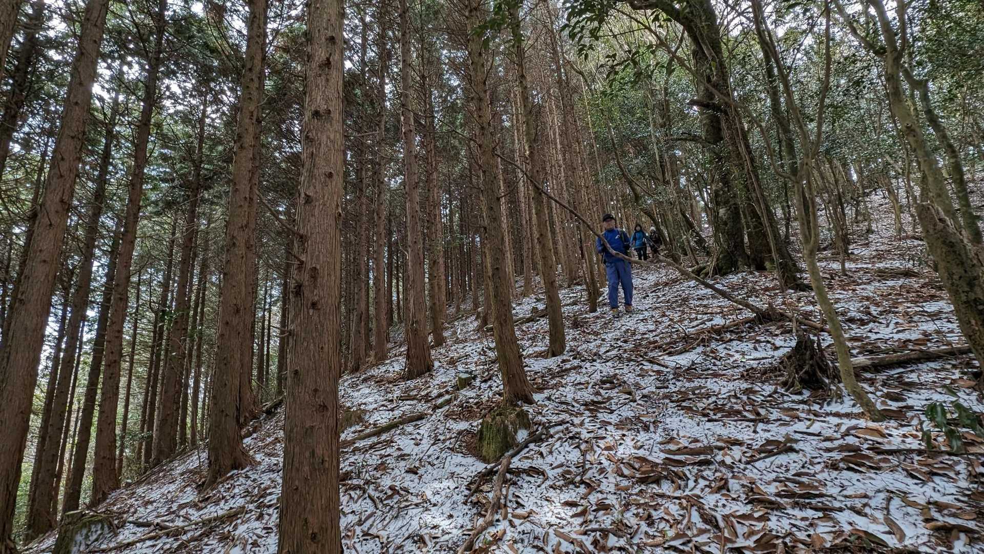 今回のコース、ほとんどが星野村と日田の県境。筑後国と豊後国の境かな