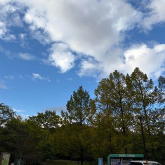 朝からの大雨から、一転。
スタートからゴールまで、青空がのぞく秋空の下で登山ができて大満足でした！