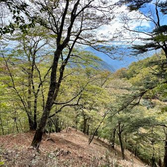 景色を見ながら下山