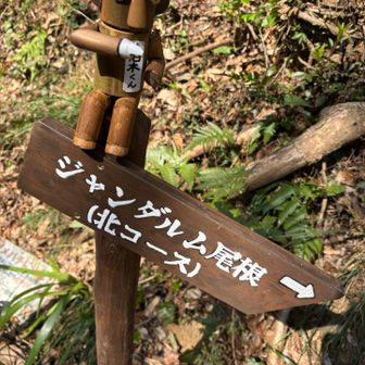 柏木くん
どっかで見た事ある顔だ🧐
誰だろう？？