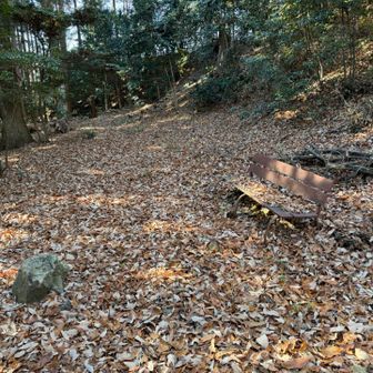 ここにもぽつんとベンチ