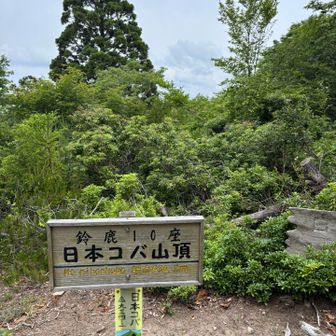 諸説によると、「木場」だとか。
信じる信じないはあなた次第です。