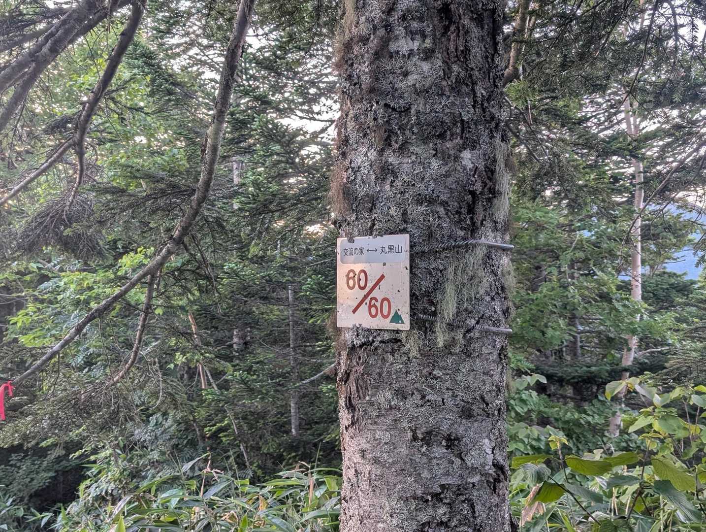 丸黒山までのこの60という数字、おそらく6kmを60分割したものと推測されます。