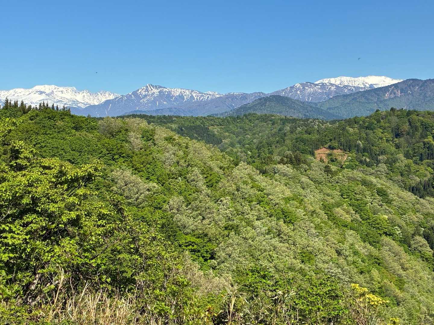 二子山 往復コースの写真
