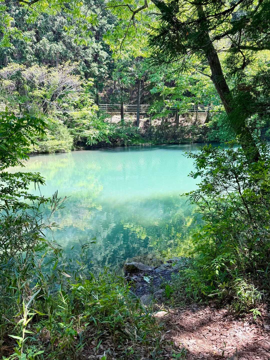 宇都宮市森林公園駐車場登山口-長倉山-鞍掛山-シゲト山-猪 周回コースの写真