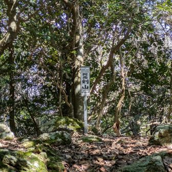 先ずは剣山頂上に到着