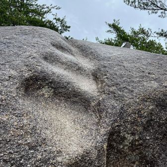 ここ、普通の靴では上るの断念。三角点があるようです。