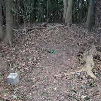 行く先に三角点らしき設置物があるなと思ったら、影山の山頂でした。あとは下るだけです。