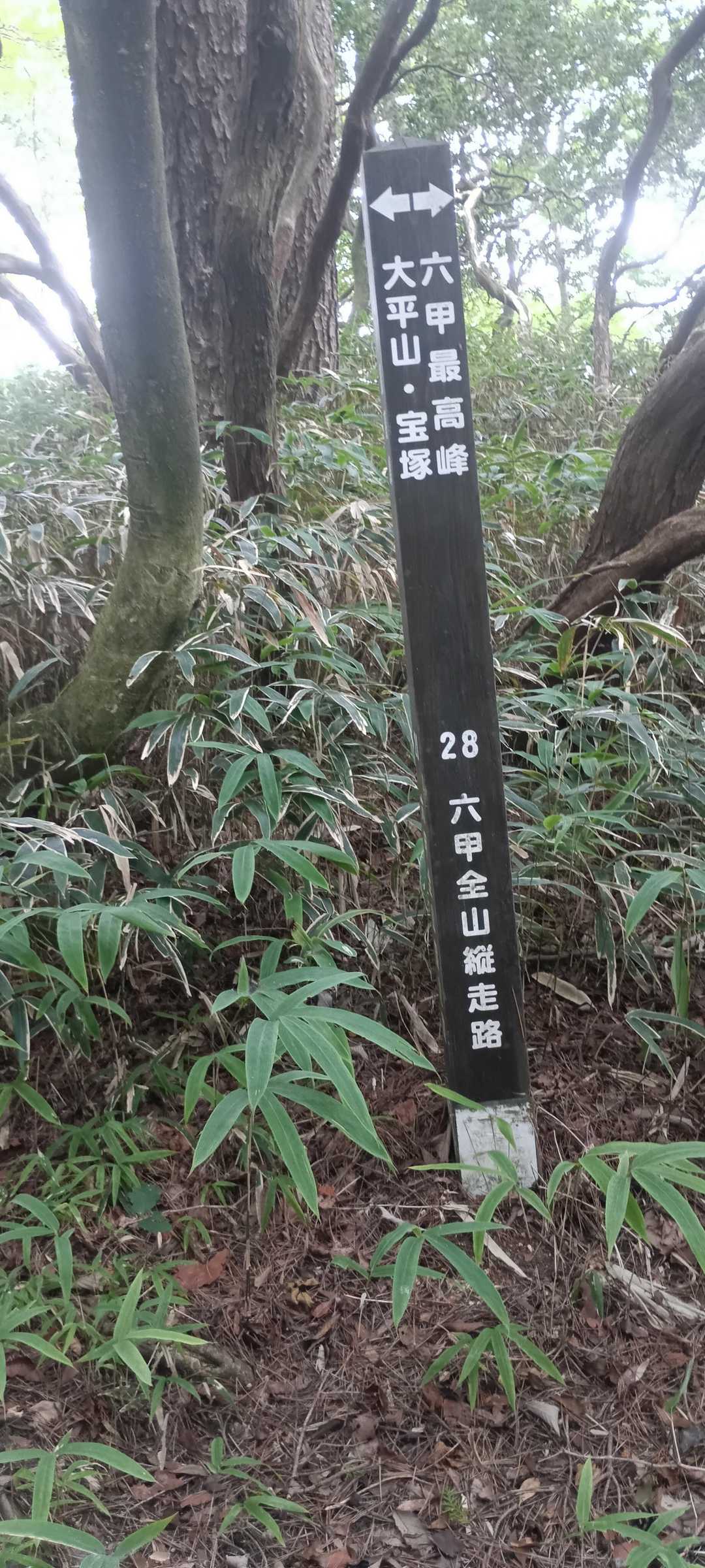 宝塚駅-岩倉山-大谷乗越-船坂峠-水無山-六甲越-六甲山- 縦走コースの写真
