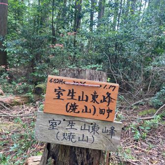 室生山東峰登頂⛰️
登りも降りも薮だらけなのであまりおすすめしません